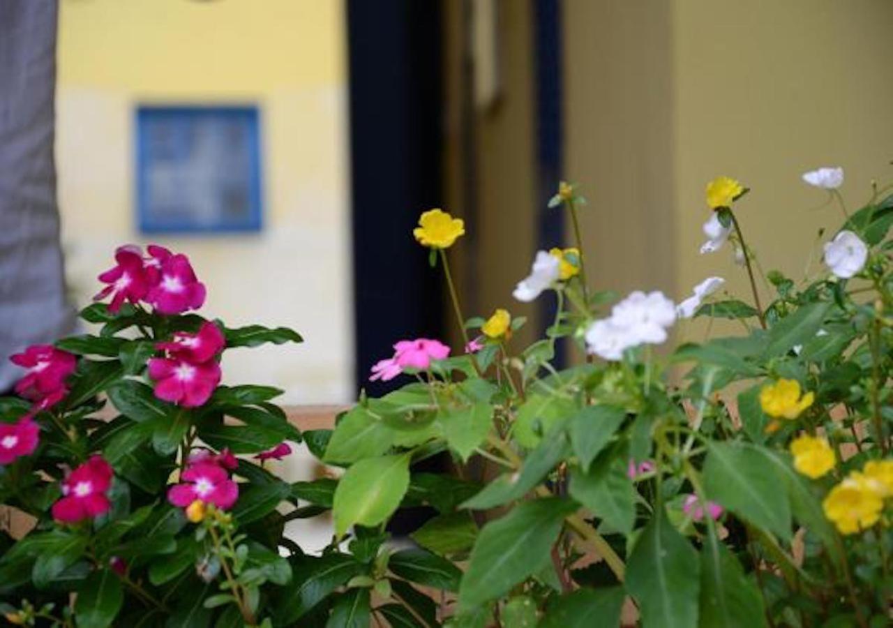 Brasileranza Hostel Niterói Exteriör bild